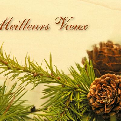CHRISTMAS GREETING CARD - BRANCH & PINE CONE