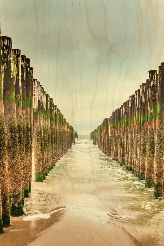 POSTCARD WOOD ROW PICKET SEA