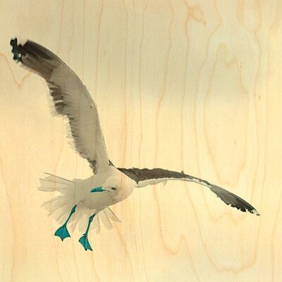 WOODEN POSTCARD SEAGULLS BLUE PAWS