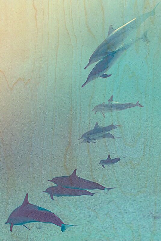 HÖLZERNE POSTKARTE DELPHINE IN DEN KURVEN