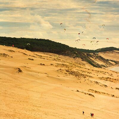 CARTE POSTALE BOIS PILAT PARAPENTE