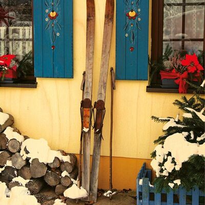 WOODEN SKIS WOODEN CHALET POSTCARD