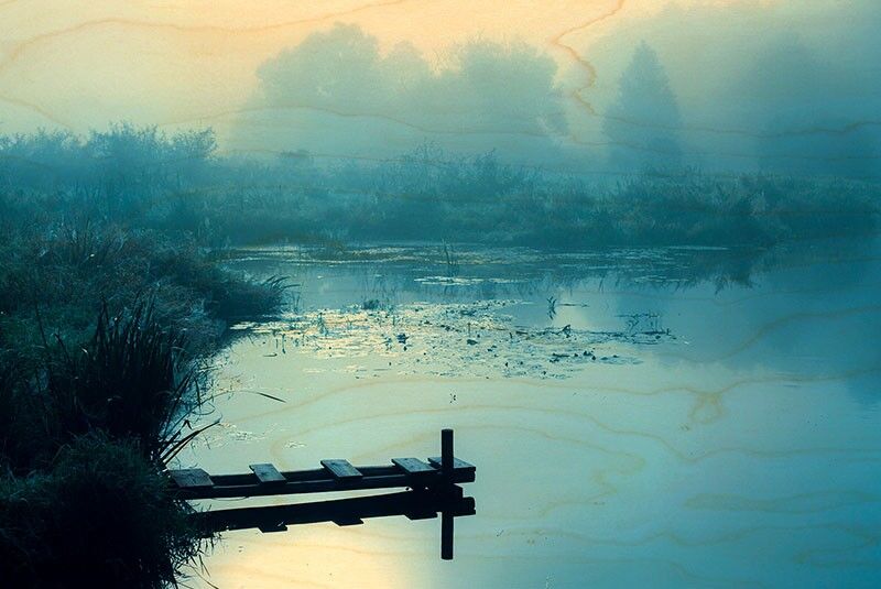 CARTOLINA DI LEGNO BLU PALUDE