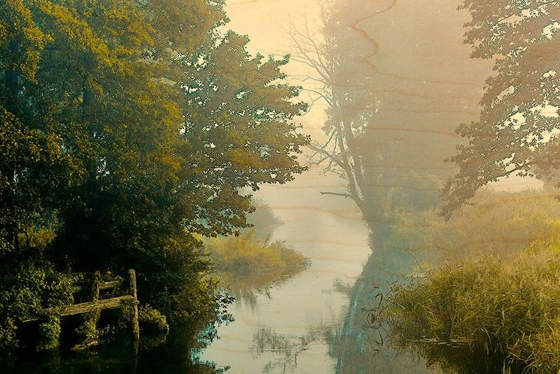 CARTOLINA BOIS MARAIS VECCHIO PONTONE