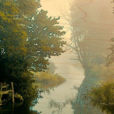 CARTE POSTALE BOIS MARAIS VIEUX PONTON