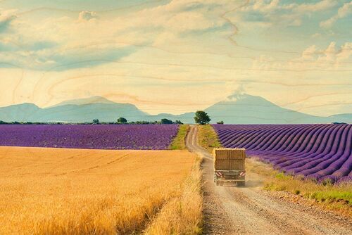 CARTE POSTALE BOIS LAVANDE CAMION PROVENCE