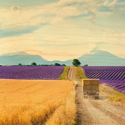 POSTCARD WOOD LAVENDER TRUCK PROVENCE