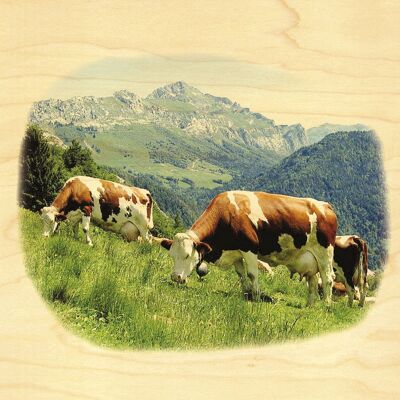 CARTE POSTALE BOIS VACHES-PAYSAGES