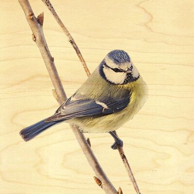 CARTOLINA TIT IN LEGNO