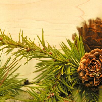 PINE CONE WOODEN POSTCARD