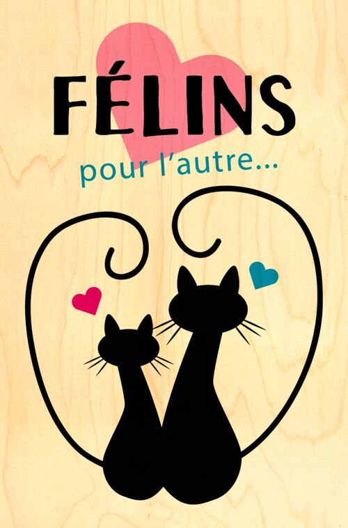 CARTE POSTALE BOIS FELINS