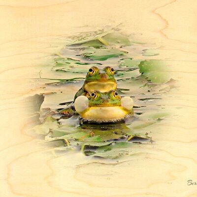 WOODEN FROGS POSTCARD