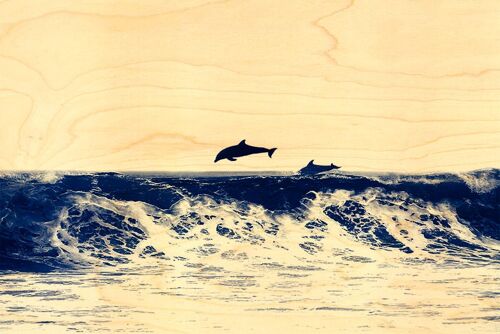 CARTE POSTALE BOIS DAUPHINS VAGUE