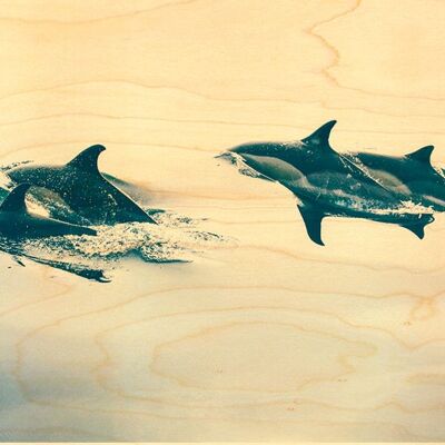 DOLPHIN SWIMMING WOODEN POSTCARD