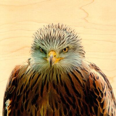 WOODEN POSTCARD GOLDEN EAGLE