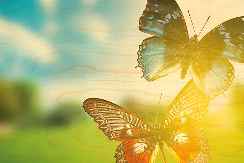 SUN BUTTERFLIES WOODEN POSTCARD