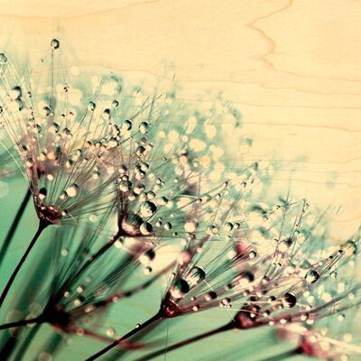 BLUE DANDELION WOODEN POSTCARD