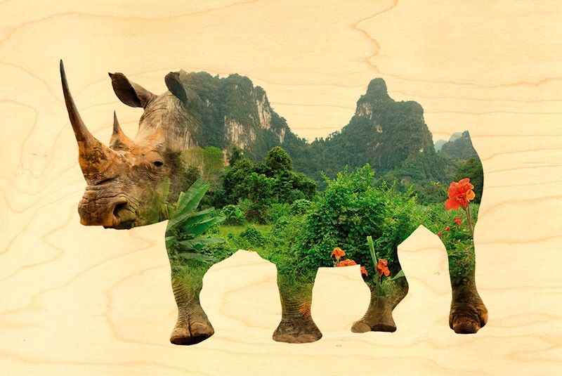 RHINO SAVANE WOOD POSTCARD