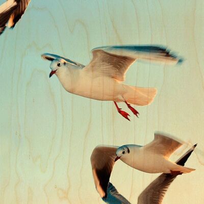 SEAGULL FLIGHT WOODEN POSTCARD