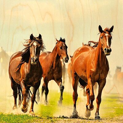 CARTE POSTALE BOIS CHEVAUX GALOP