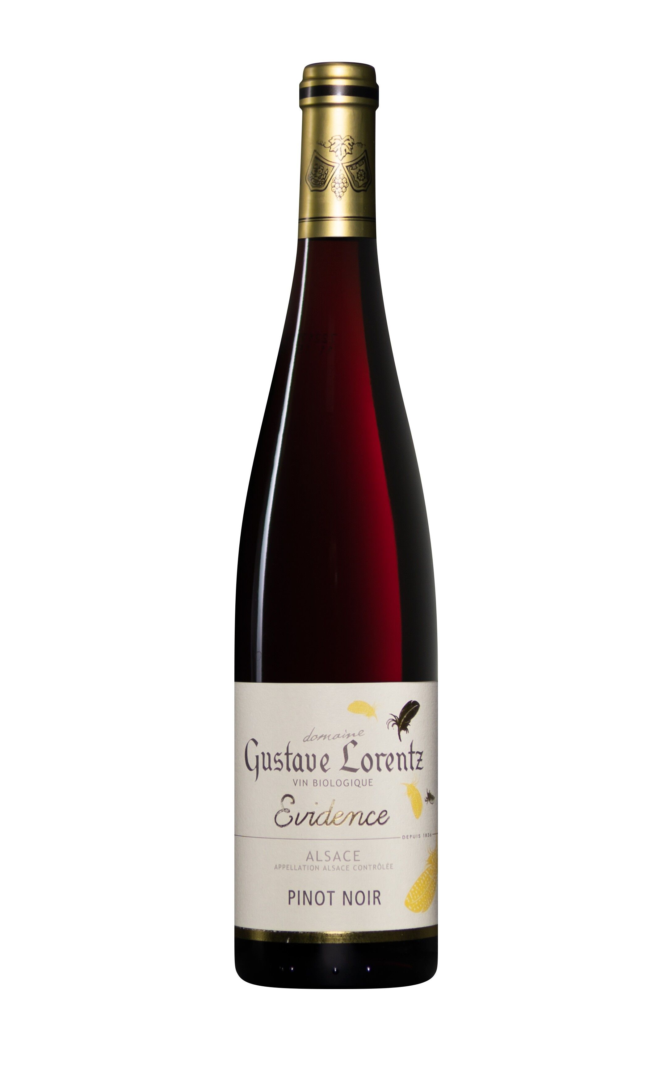 PINOT NOIR EVIDENCE BIO - Rosso - 2020 - 75cl - Gustave Lorentz - Alsazia Pinot Nero