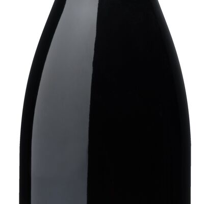 Saint Jean - Rosso - 2020 - 75cl - Maison Gabriel Meffre - Cairanne