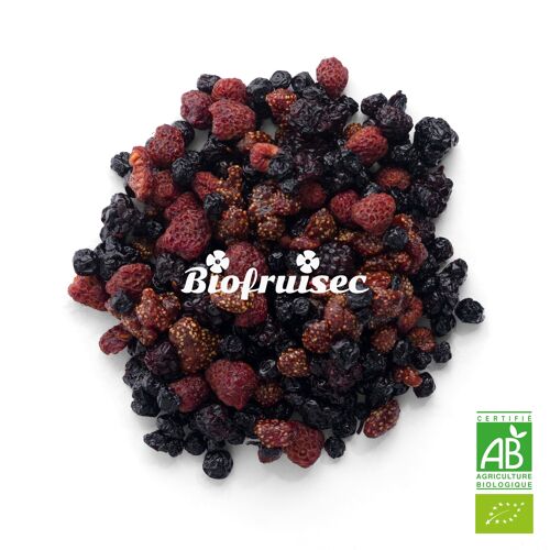 Mix Superfruits rouges Bio des Alpes Dinariques séchés | Sac 1 kg.