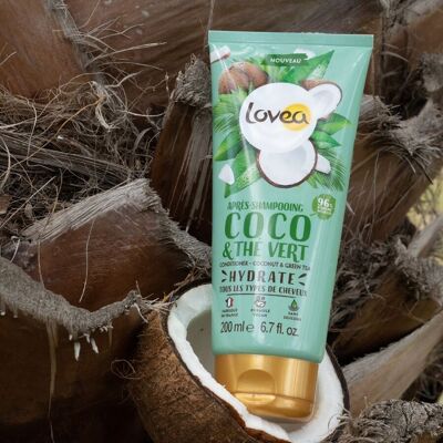 Conditioner - Feuchtigkeitsspendend - Kokoswasser & Grüner Tee - Alle Haartypen - 96 % natürlichen Ursprungs - Silikonfrei