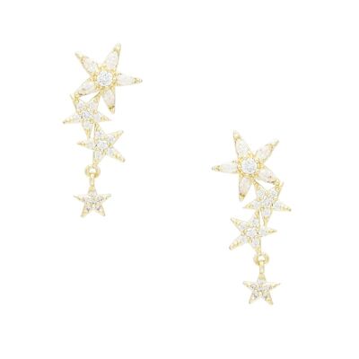 Climber meteor gold earrings and zircons