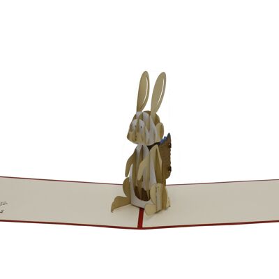 Easter bunny pop up card 3d folded card