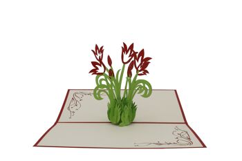 Carte pop-up rouge Tulipes 2