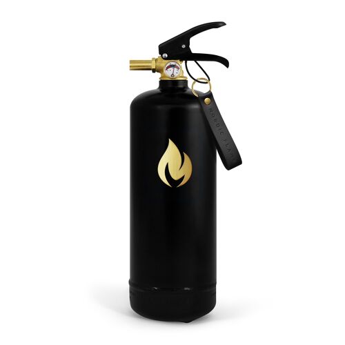 Fire Extinguishers 2 kg - Black Gold