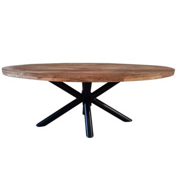 Razzà Table à manger Marron 280cm