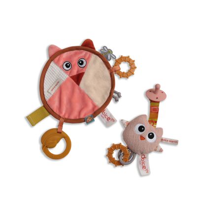 Dolce Earth cuddle cloth & pacifier chain - Fiona Vos & Ollie Owl