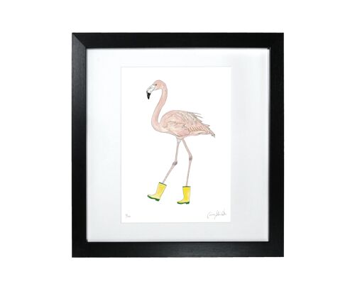 Flamingo - Framed Limited Edition Print