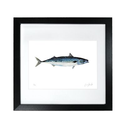 Mackerel Print - Framed Limited Edition Print