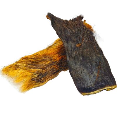 Horse skin with fur