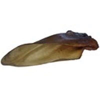 very large beef ears with shell, dog food, chews, chew snacks for dogs