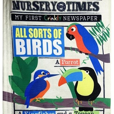 Giornale Crinkly di Nursery Times - Tutti i tipi di uccelli