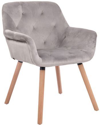 Canepina Chaise de salle à manger Velours Gris 10x60cm 1