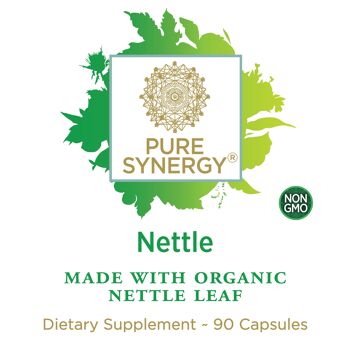 Synergy Company Ortie 2