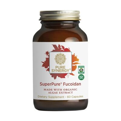 Synergy Company Superpure Fucoidan-Extrakt 60 Kapseln