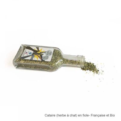 Lot de 10 fioles de Cataire bio stimulante - catnip bio - herbe à chat