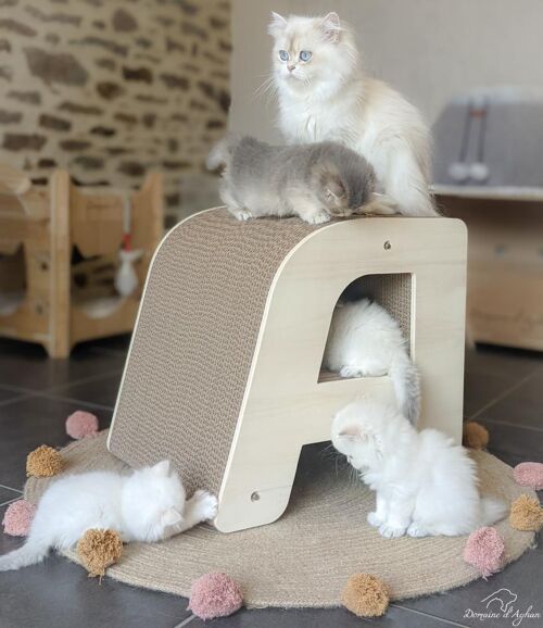 Lettre griffoir A - XL ép. 38 cm - En kit - À poser