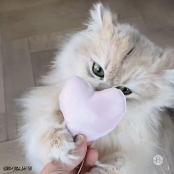 Lot de 10 jouets Coeur - Jouet pour chat garnie de cataire - Mix colorés 3