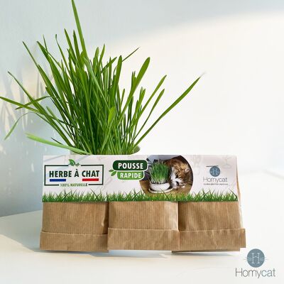 Lot de 10 - 6 sachets de 10g Graines d'herbe à chat naturelles à planter