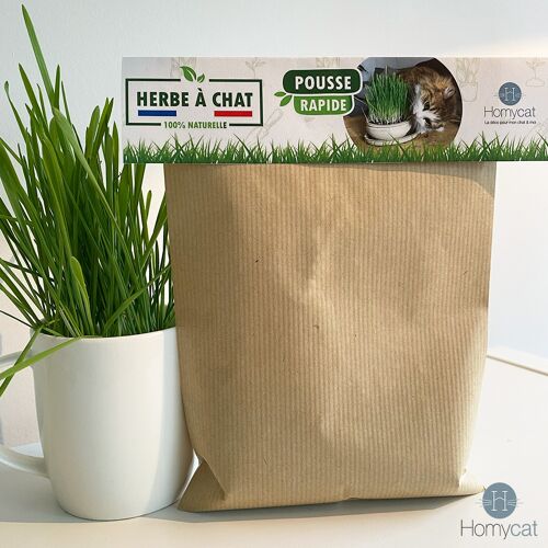 Lot de 10 sachets de 100g - Graines d'herbe à chat naturelles à planter