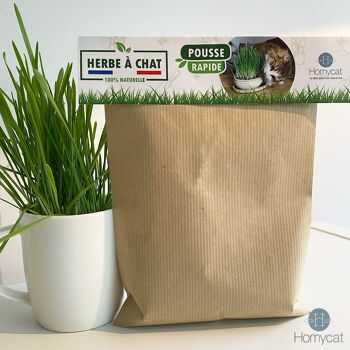 Lot de 10 sachets de 100g - Graines d'herbe à chat naturelles à planter 1