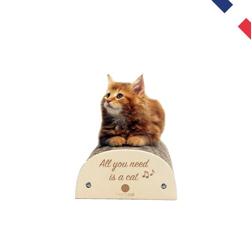 Griffoir chat "All you need is a cat" - Monté
