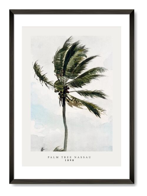 Palm Tree - A4